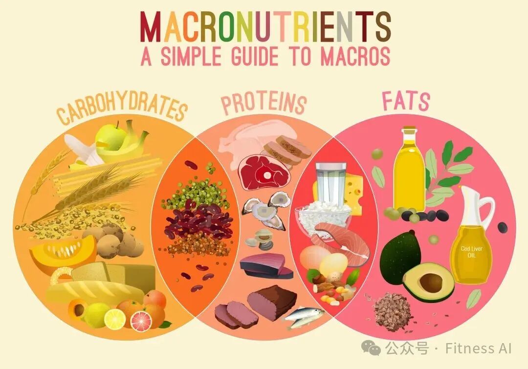 macronutrients food sources